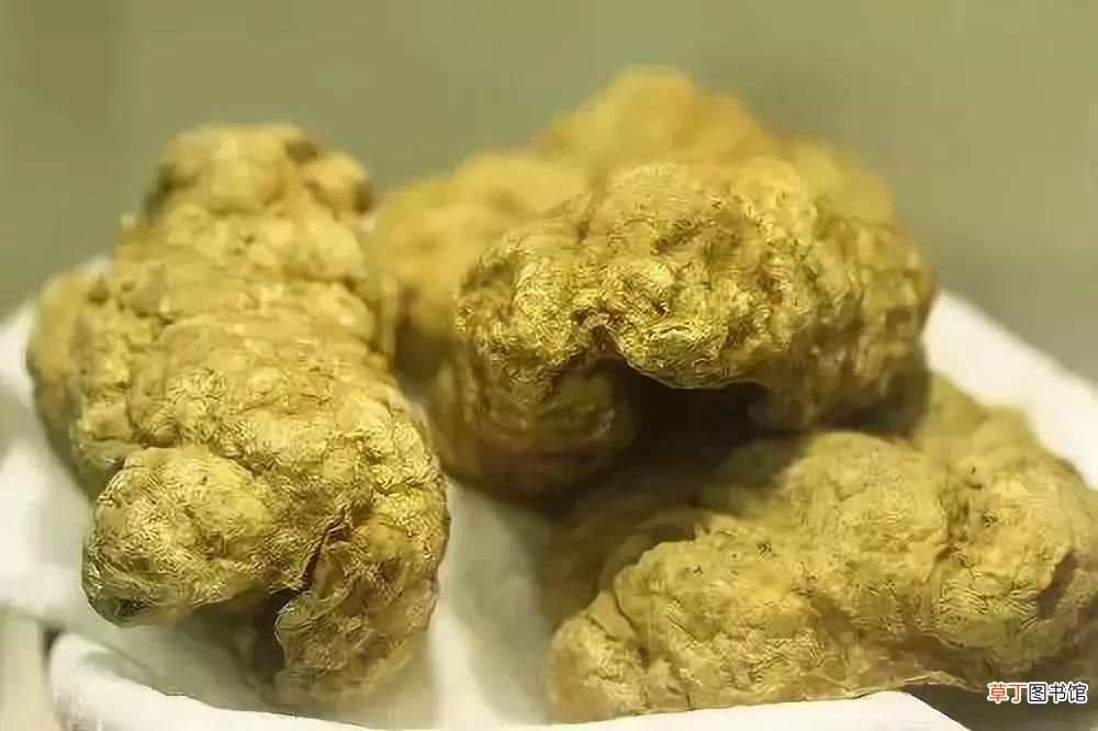 回民不吃猪肉的原因,伊斯兰信徒为何不吃猪肉？