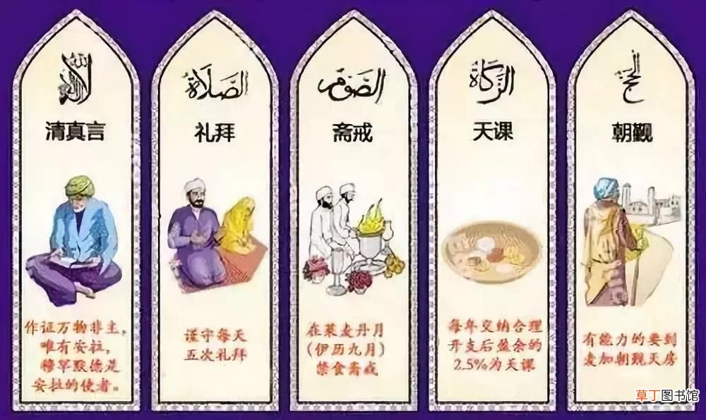 回民不吃猪肉的原因,伊斯兰信徒为何不吃猪肉？