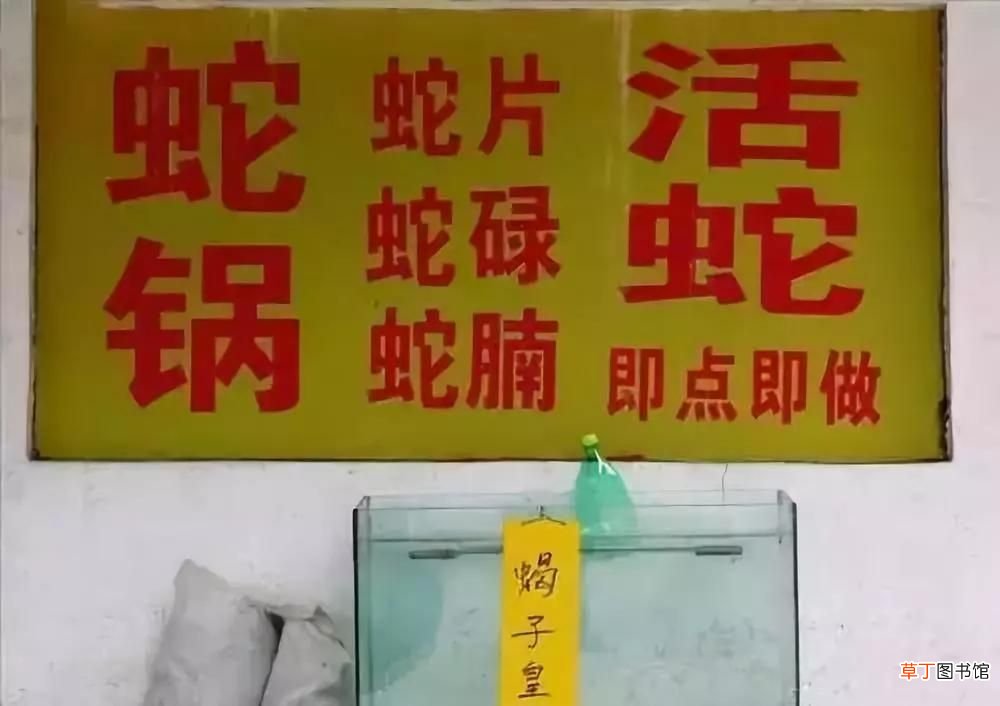 回民不吃猪肉的原因,伊斯兰信徒为何不吃猪肉？