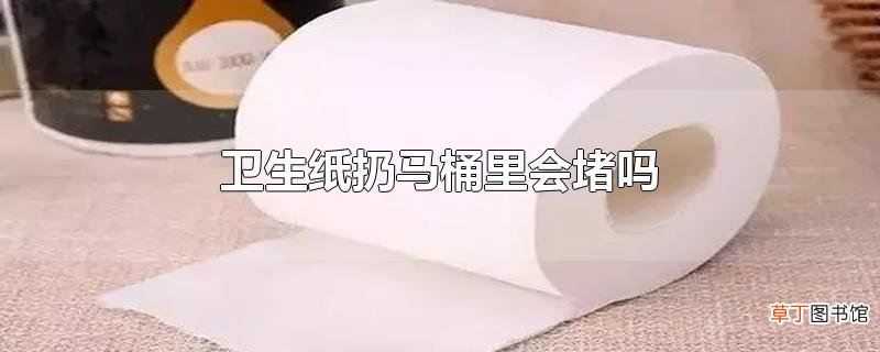 卫生纸扔马桶里会堵吗