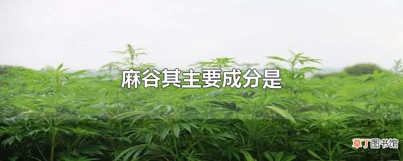 麻谷其主要成分是