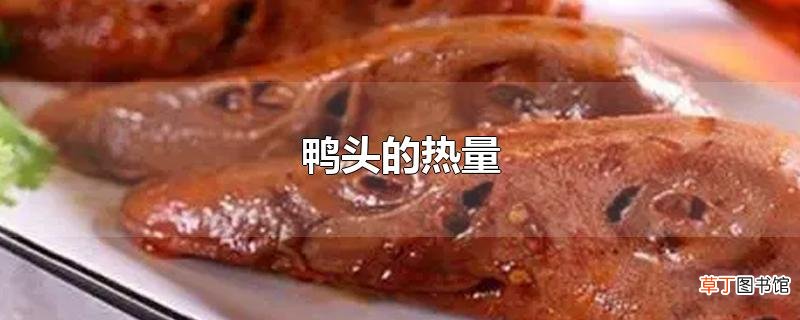 鸭头的热量