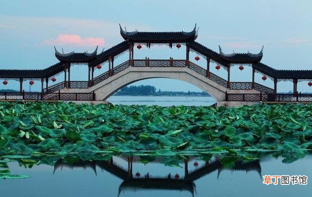 怎么说呢是什么梗方言？网络语言中的方言梗