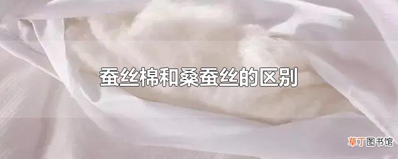 蚕丝棉和桑蚕丝的区别