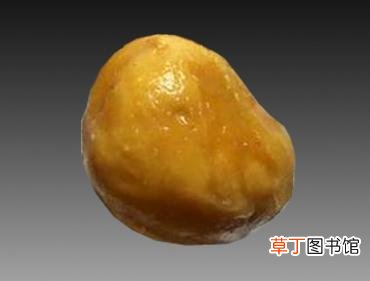 鸡宝是什么东西?鸡宝图片和价格
