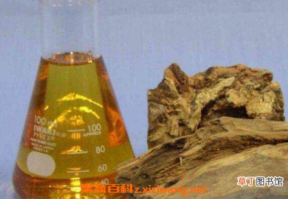 檀香精油的功效与作用