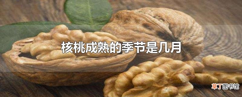 核桃成熟的季节是几月