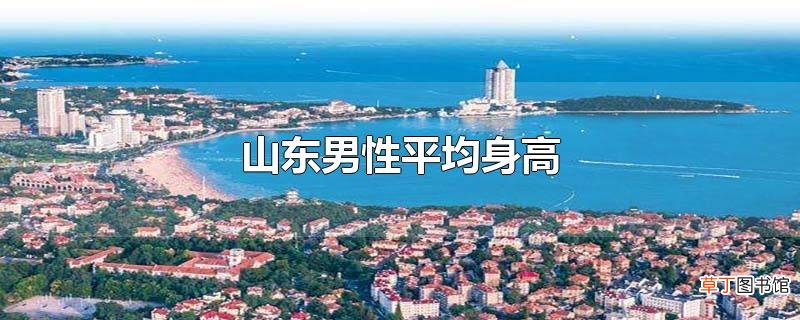 山东男性平均身高