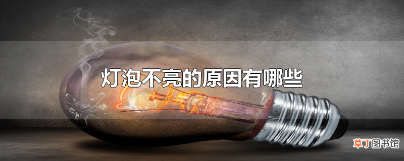 灯泡不亮的原因有哪些