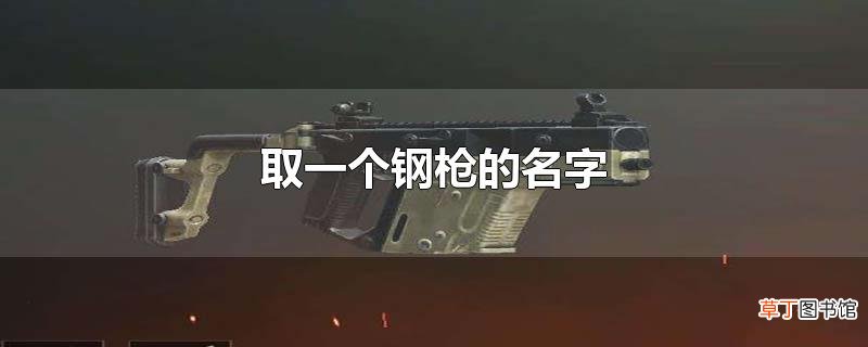 取一个钢枪的名字