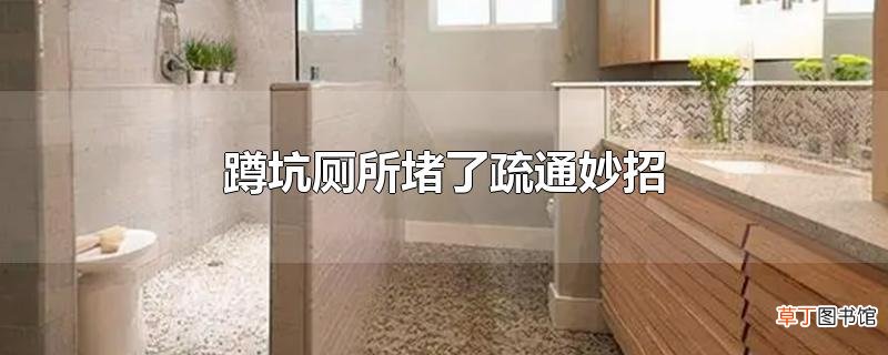 蹲坑厕所堵了疏通妙招