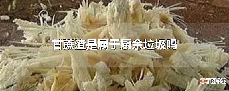 甘蔗渣是属于厨余垃圾吗