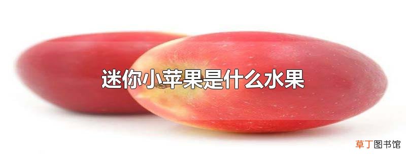 迷你小苹果是什么水果