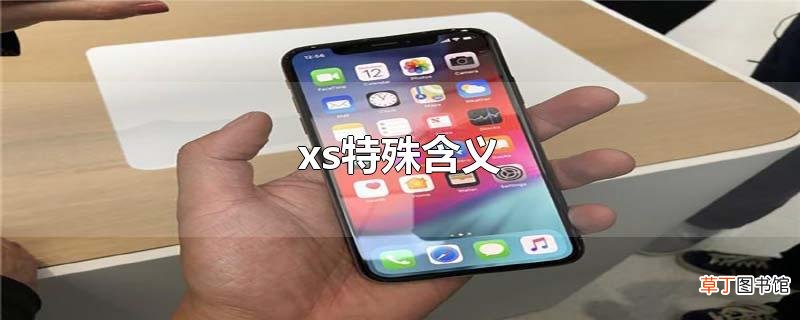 xs特殊含义