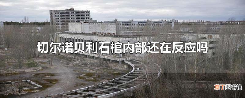 切尔诺贝利石棺内部还在反应吗