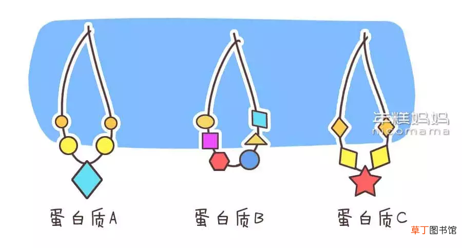 怎么选择奶粉好,奶粉怎么挑？学会看食品的配料表、营养成分表