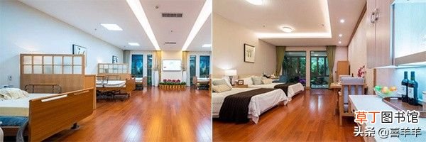 广州最好的养老院,最新收费标准和老人院点评