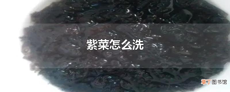 紫菜怎么洗