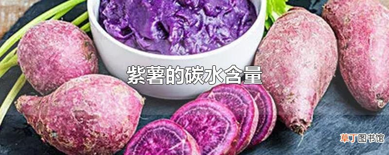紫薯的碳水含量