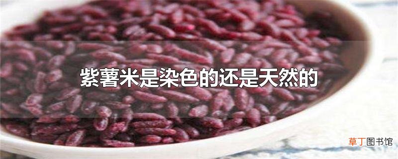 紫薯米是染色的还是天然的