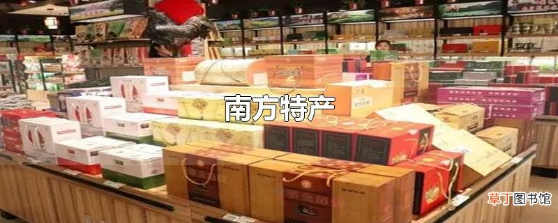 南方特产
