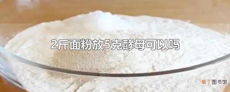 2斤面粉放5克酵母可以吗