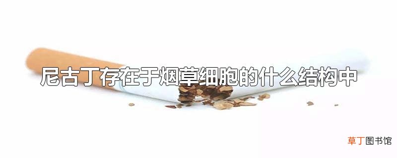 尼古丁存在于烟草细胞的什么结构中