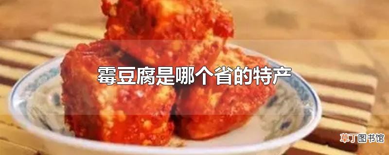 霉豆腐是哪个省的特产
