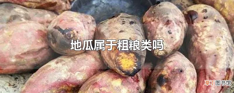 地瓜属于粗粮类吗
