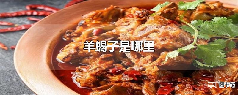 羊蝎子是哪里