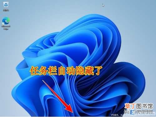 win11任务栏为什么不自动隐藏了 怎么隐藏电脑下面的任务栏