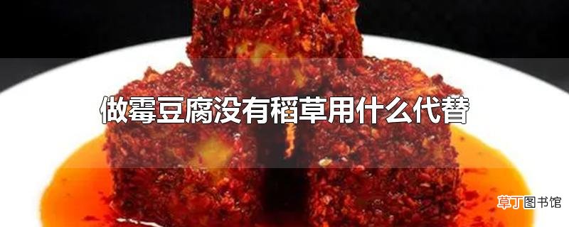 做霉豆腐没有稻草用什么代替