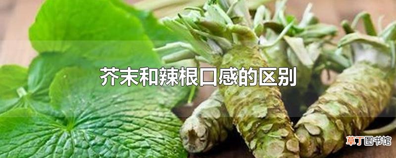芥末和辣根口感的区别
