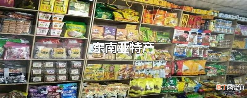 东南亚特产
