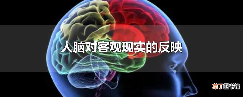 人脑对客观现实的反映