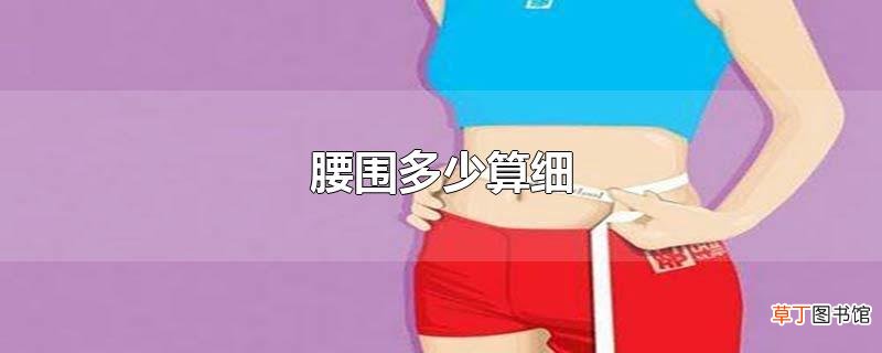 腰围多少算细