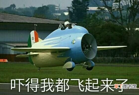 奇葩飞机,除长得萌一无是处，为速度而生却只能飞131KM/h