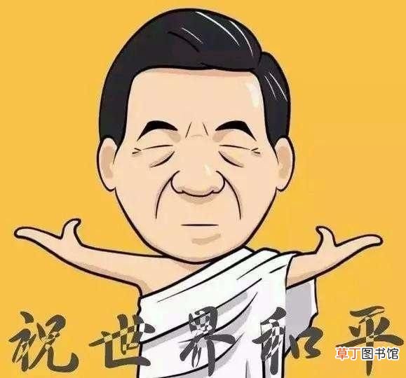 奇葩飞机,除长得萌一无是处，为速度而生却只能飞131KM/h