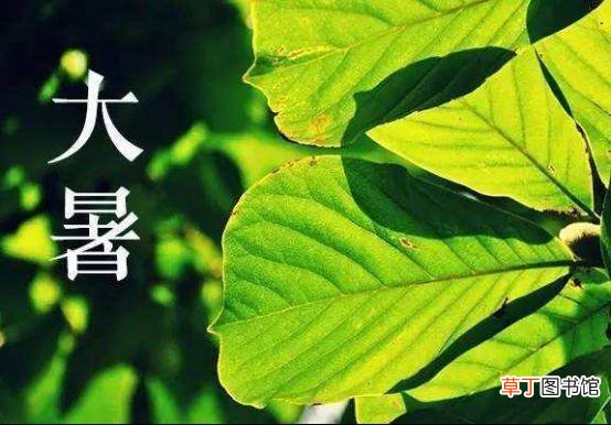 2021三伏天是几月到几月?三伏天怎么调理身体