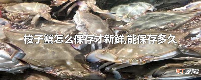 梭子蟹怎么保存才新鲜,能保存多久