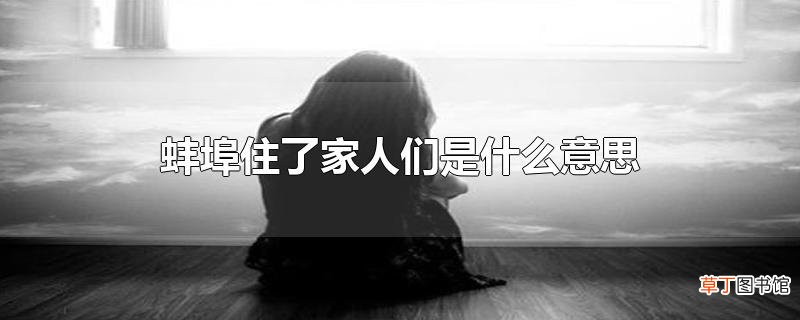 蚌埠住了家人们是什么意思