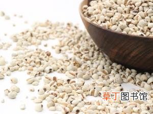 薏米祛湿又减肥，但这3类人不宜吃