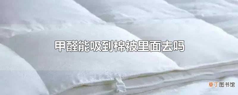 甲醛能吸到棉被里面去吗