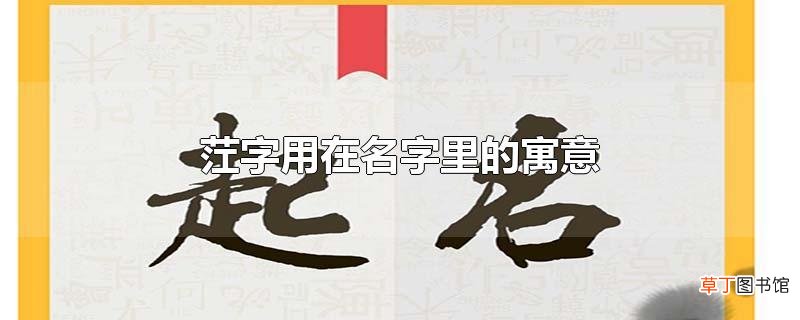 茳字用在名字里的寓意