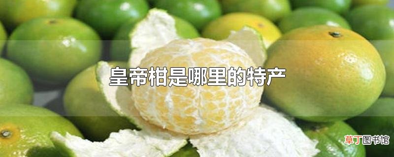 皇帝柑是哪里的特产
