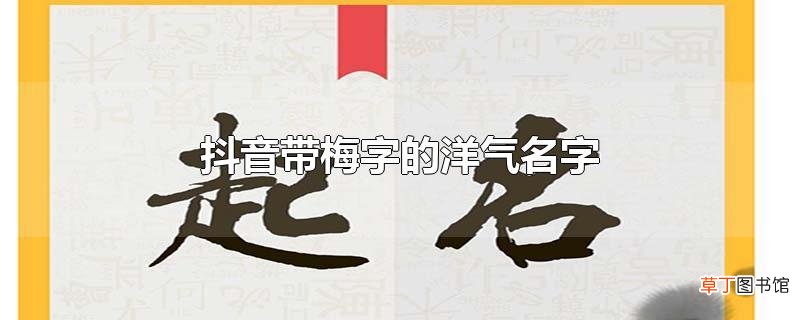 抖音带梅字的洋气名字