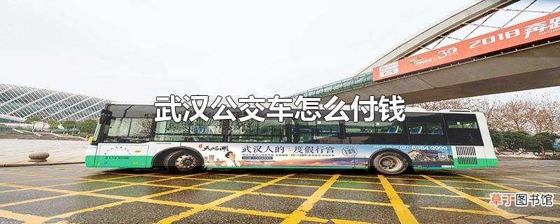 武汉公交车怎么付钱
