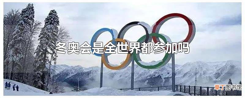 冬奥会是全世界都参加吗