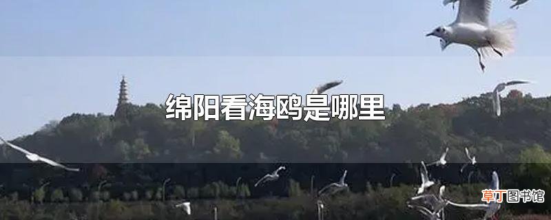 绵阳看海鸥是哪里