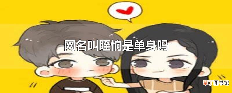 网名叫眰恦是单身吗